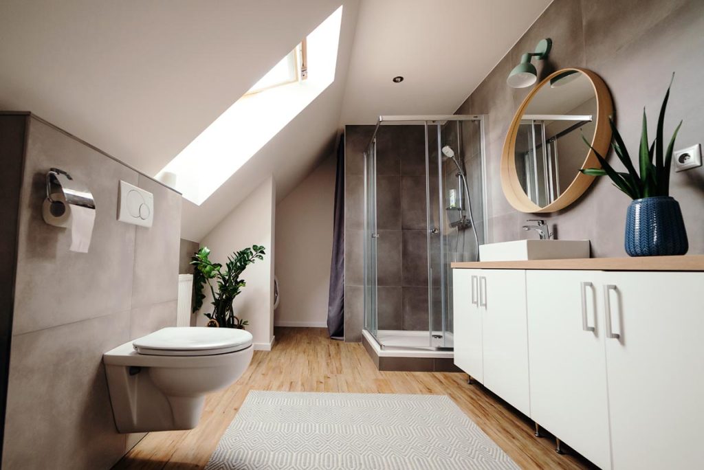 salle de bain avec miroir, wc et douche